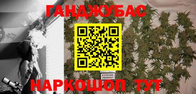 молекула духа Бийск