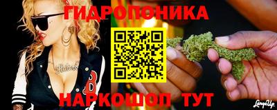 Альфа ПВП Берёзовский