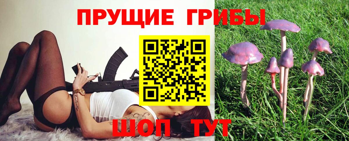 Псилоцибиновые грибы MAGIC MUSHROOMS  Вход с VPN  Кисловодск  Псилоцибиновые грибы MAGIC MUSHROOMS 